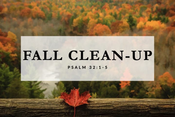 Fall Clean-Up
